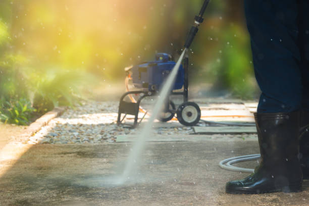 Animal Enclosure Cleaning in Barton Creek, TX